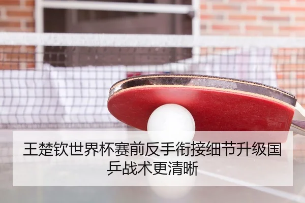王楚钦世界杯赛前反手衔接细节升级国乒战术更清晰